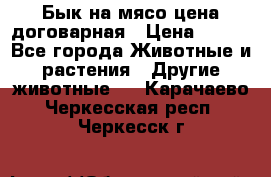 Бык на мясо цена договарная › Цена ­ 300 - Все города Животные и растения » Другие животные   . Карачаево-Черкесская респ.,Черкесск г.